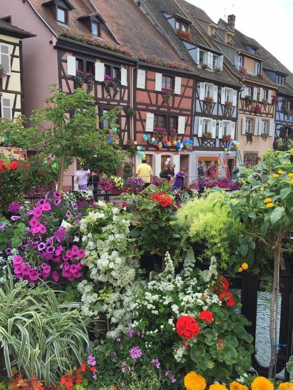 Les Appartements de Home Petite Venise Colmar Extérieur photo