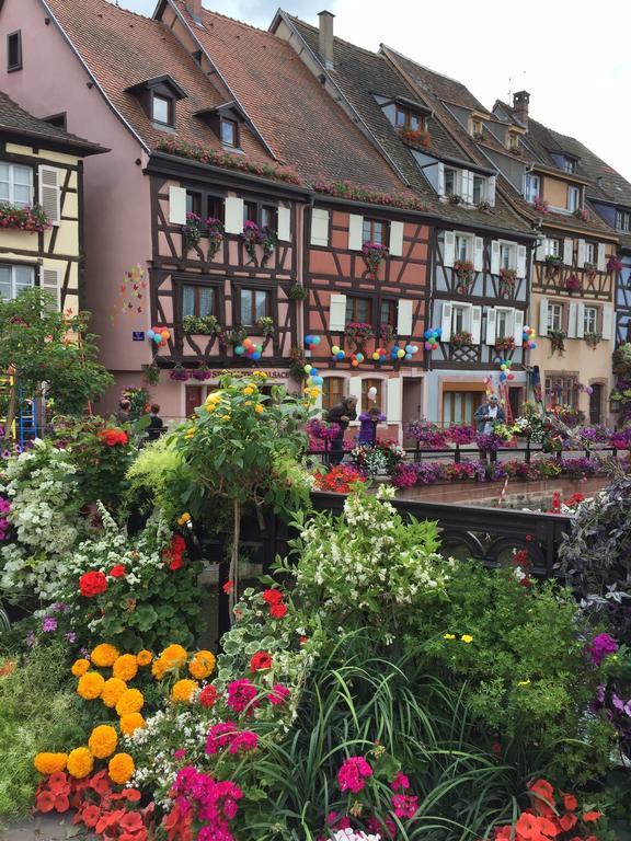 Les Appartements de Home Petite Venise Colmar Extérieur photo